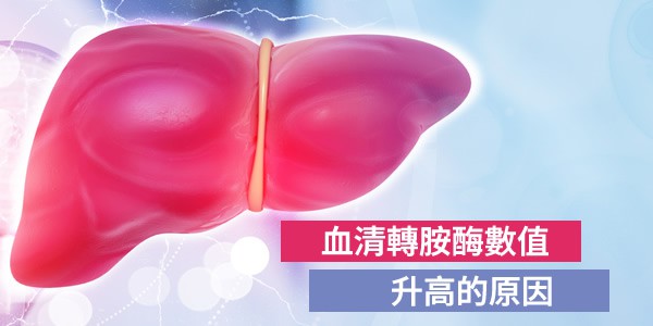 血清轉胺酶數值升高的原因幾何？如何處理才科學？