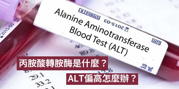 丙胺酸轉胺酶是什麼？數值過高是肝功能異常嗎？ALT偏高怎麼辦？