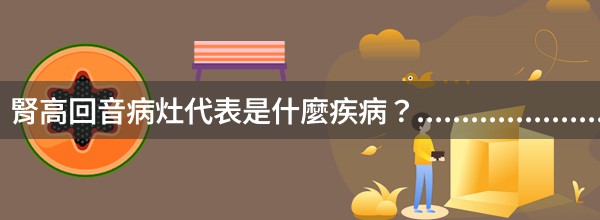 腎高回音病灶代表是什麼疾病？